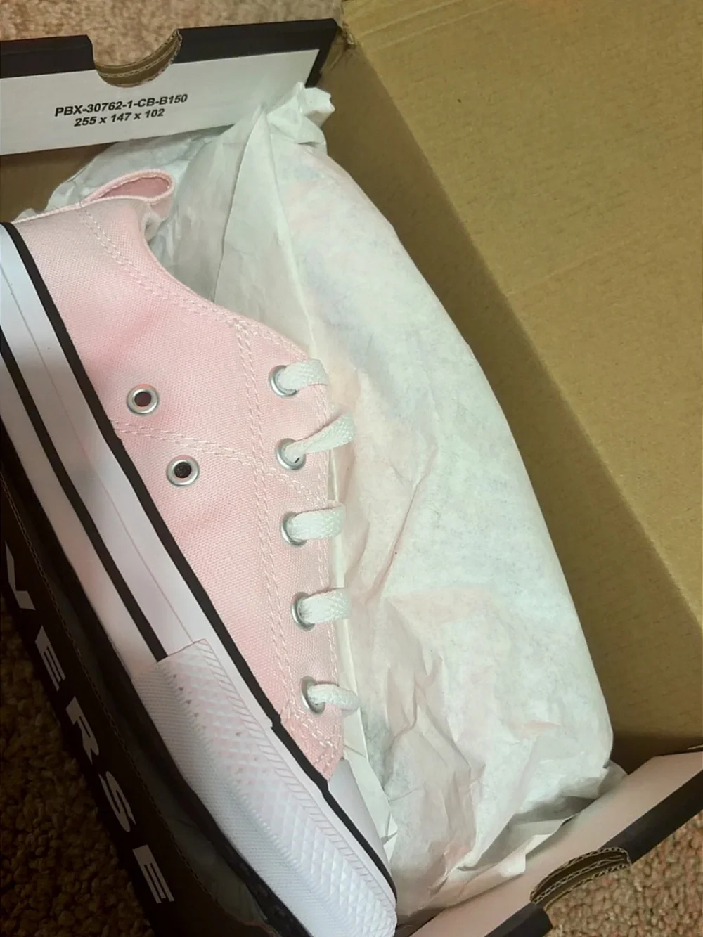 Converse Kids Low Top Canvas Sneakers in Pale Pink